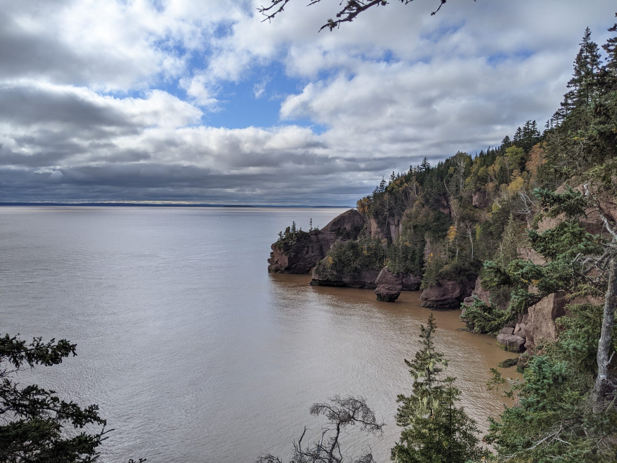 Hopewell Rocks, Cape Enrage & Alma - Travelling Minions